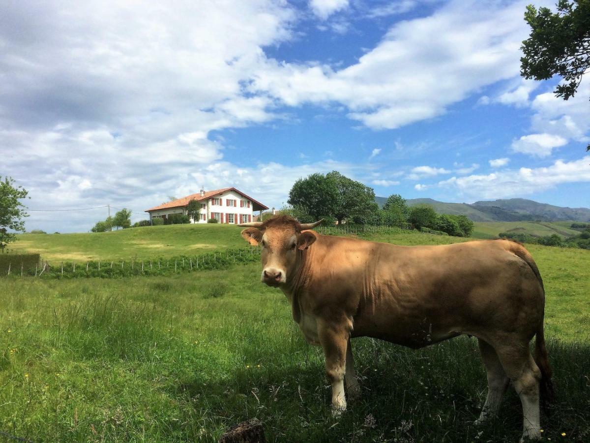 Baskoparadis I Eco-Gites I Calme I Vue I Anes I Jardin I Montagne I Nature Louhossoa Exterior foto