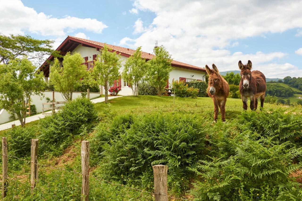 Baskoparadis I Eco-Gites I Calme I Vue I Anes I Jardin I Montagne I Nature Louhossoa Exterior foto