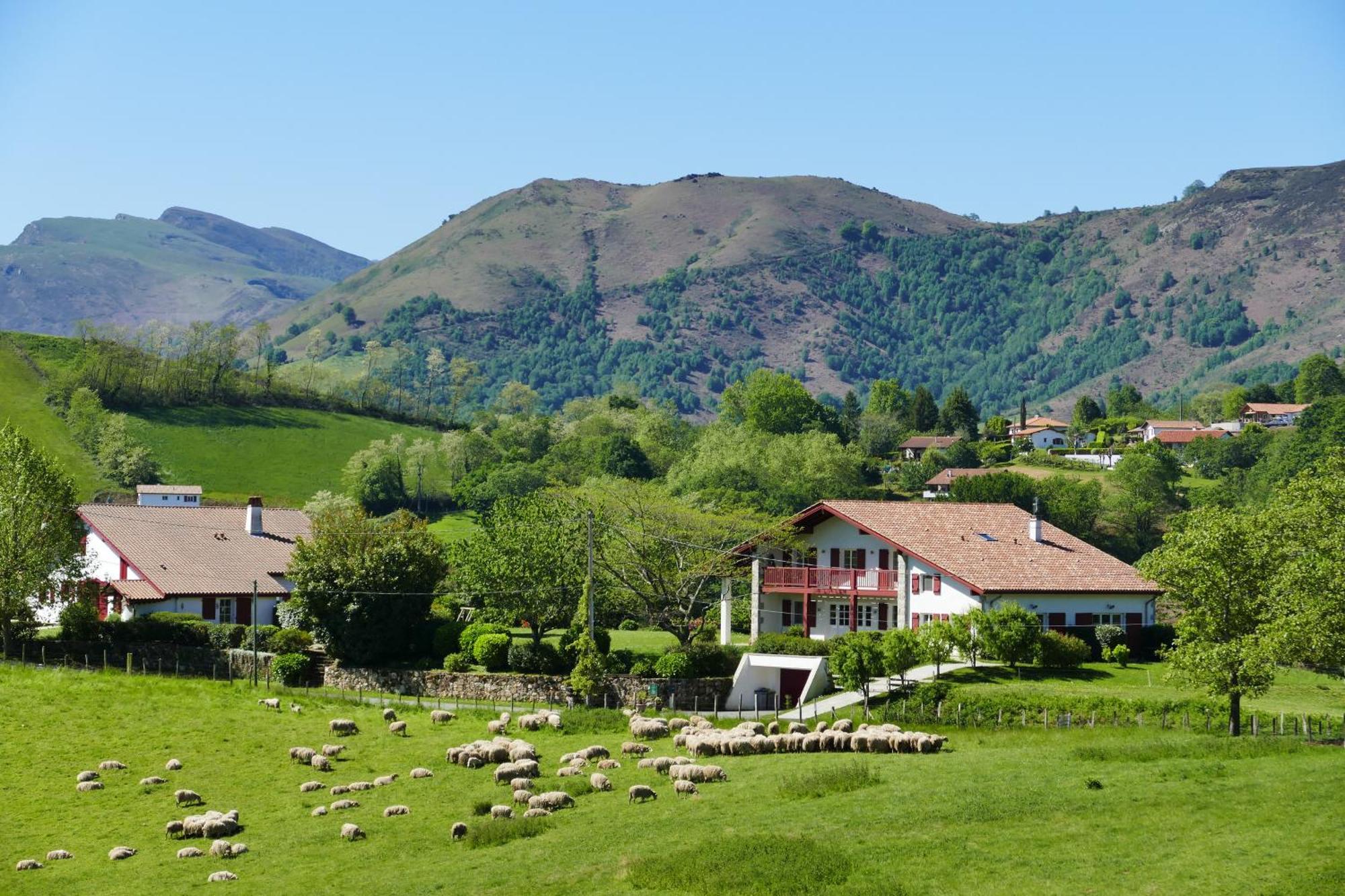Baskoparadis I Eco-Gites I Calme I Vue I Anes I Jardin I Montagne I Nature Louhossoa Exterior foto
